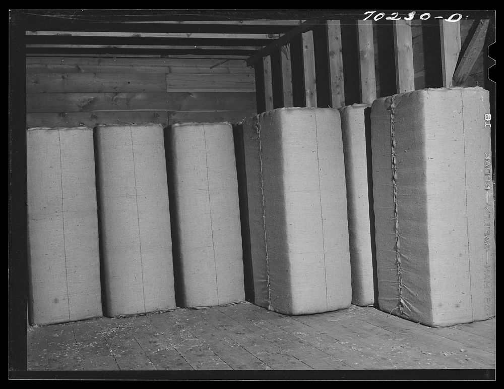 [Untitled photo, possibly related to: Baled hops. Yakima County, Washington. Each bale weighs two hundred pounds. Price at…