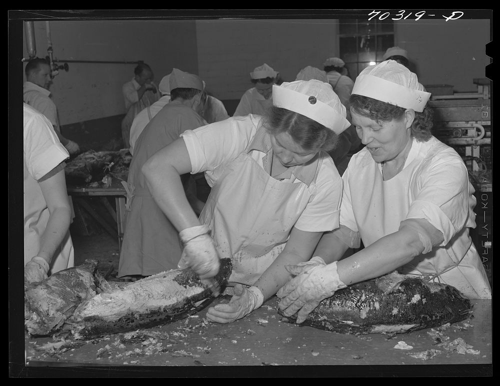 Astoria, Oregon. Stripping skin from cooked tuna fish at the Columbia River Packers' Association by Russell Lee