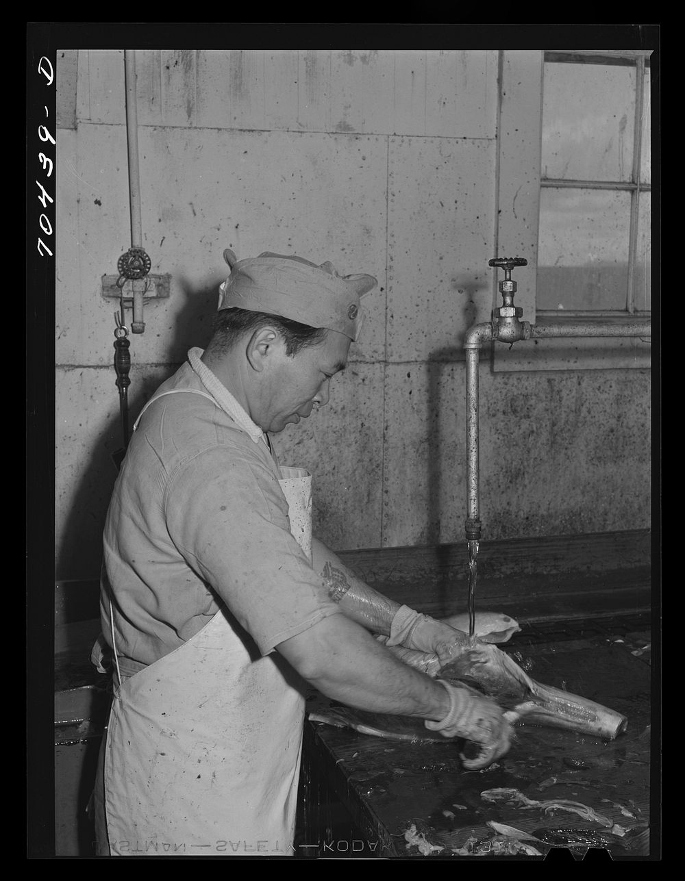 Salmon butcher. Columbia River Packing Association, Astoria, Oregon by Russell Lee
