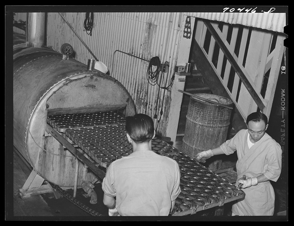 Canned and cooked salmon goes through sterilizing vats. Columbia River Packing Association, Astoria, Oregon by Russell Lee