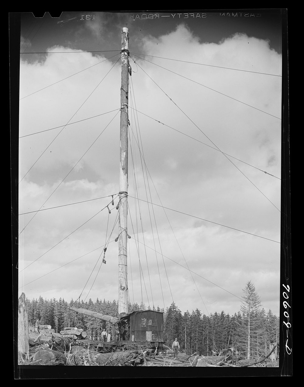 [Untitled photo, possibly related to: Long Bell Lumber Company, Cowlitz County, Washington. Spar tree used in lumbering…