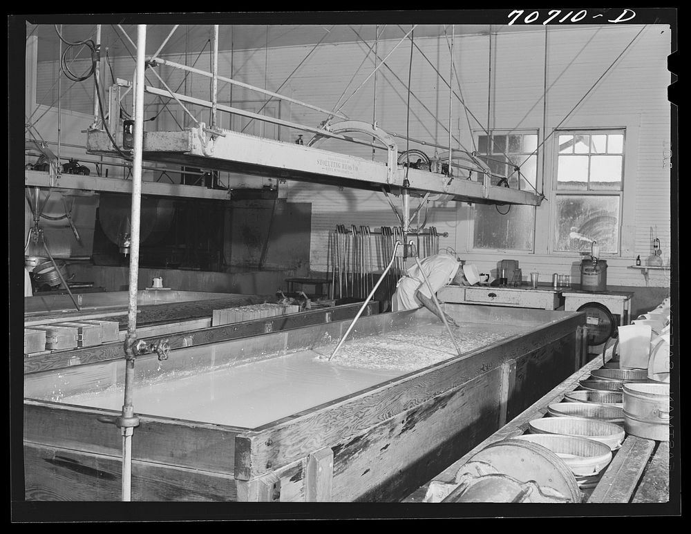 [Untitled photo, possibly related to: Tillamook cheese plant. Tillamook County, Oregon. A lactic ferment starter is added…