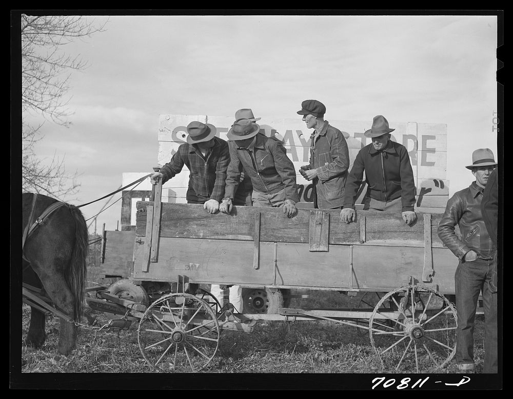 Riding cornhusking contest. Ontario, Oregon Free Photo rawpixel