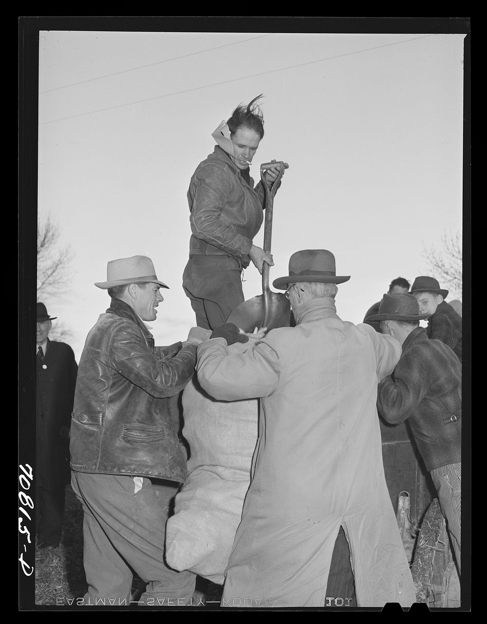 [Untitled photo, possibly related to: Weighing up corn husked in contest at Ontario, Oregon] by Russell Lee