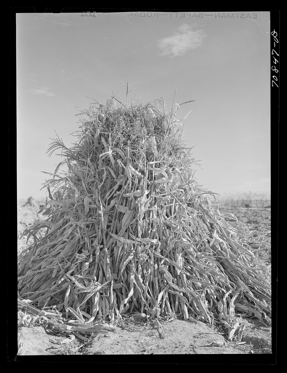 fodder-shock-canyon-county-idaho-free-photo-rawpixel
