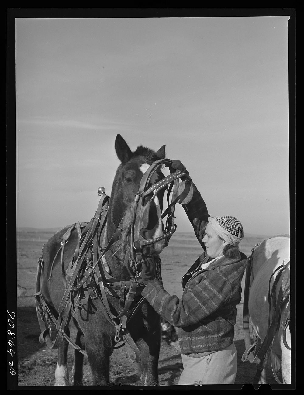 Farm woman (widow) on Black Canyon Project. Canyon County, Idaho. The FSA (Farm Security Administration) gave her a loan by…