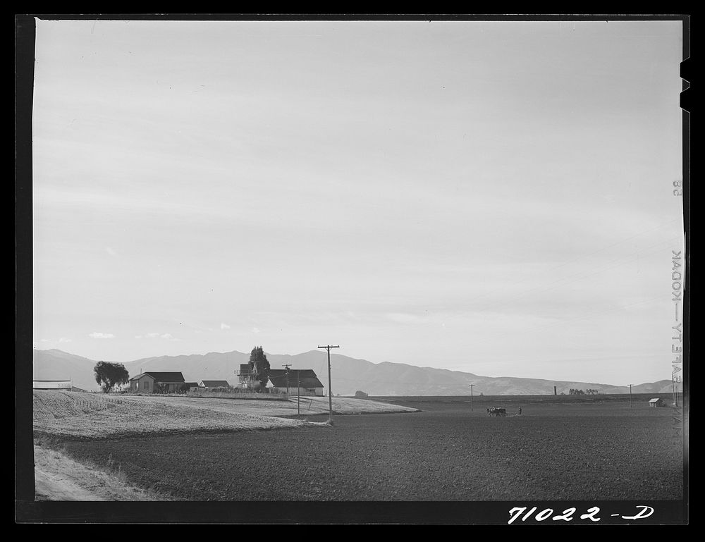 [Untitled photo, possibly related to: Monterey County, California. Harrowing a field in river valley land which will be…