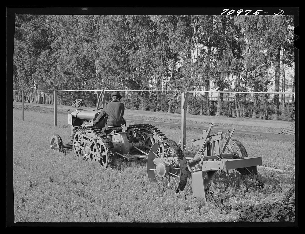 [Untitled photo, possibly related to: Salinas, California. Intercontinental Rubber Producers. Demonstration of digger used…