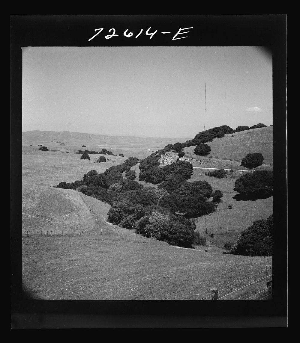 [Untitled photo, possibly related to: San Benito County, California. Low hills] by Russell Lee