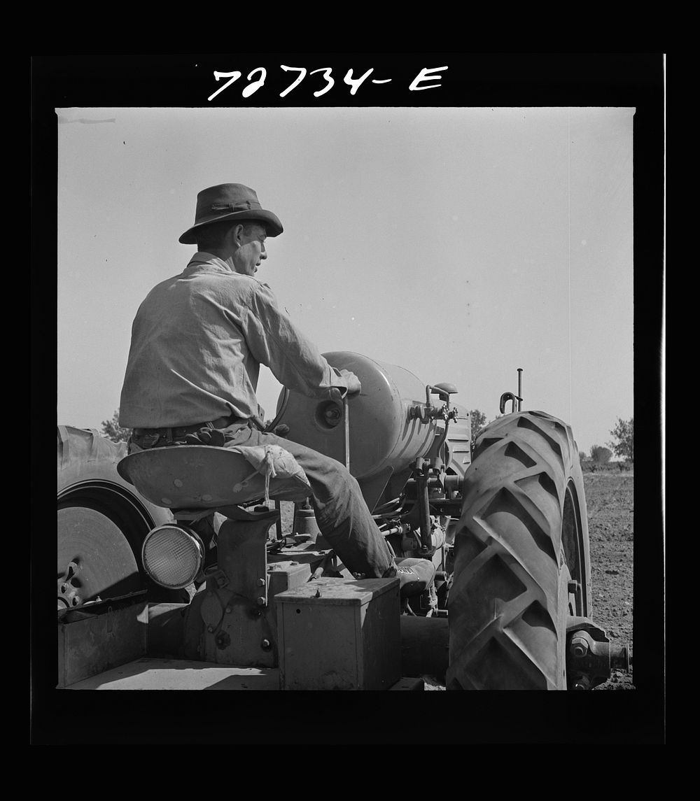Merced County, California. Tractor operators by Russell Lee