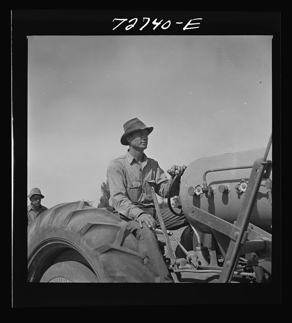[Untitled photo, possibly related to: Merced County, California. Tractor operator] by Russell Lee