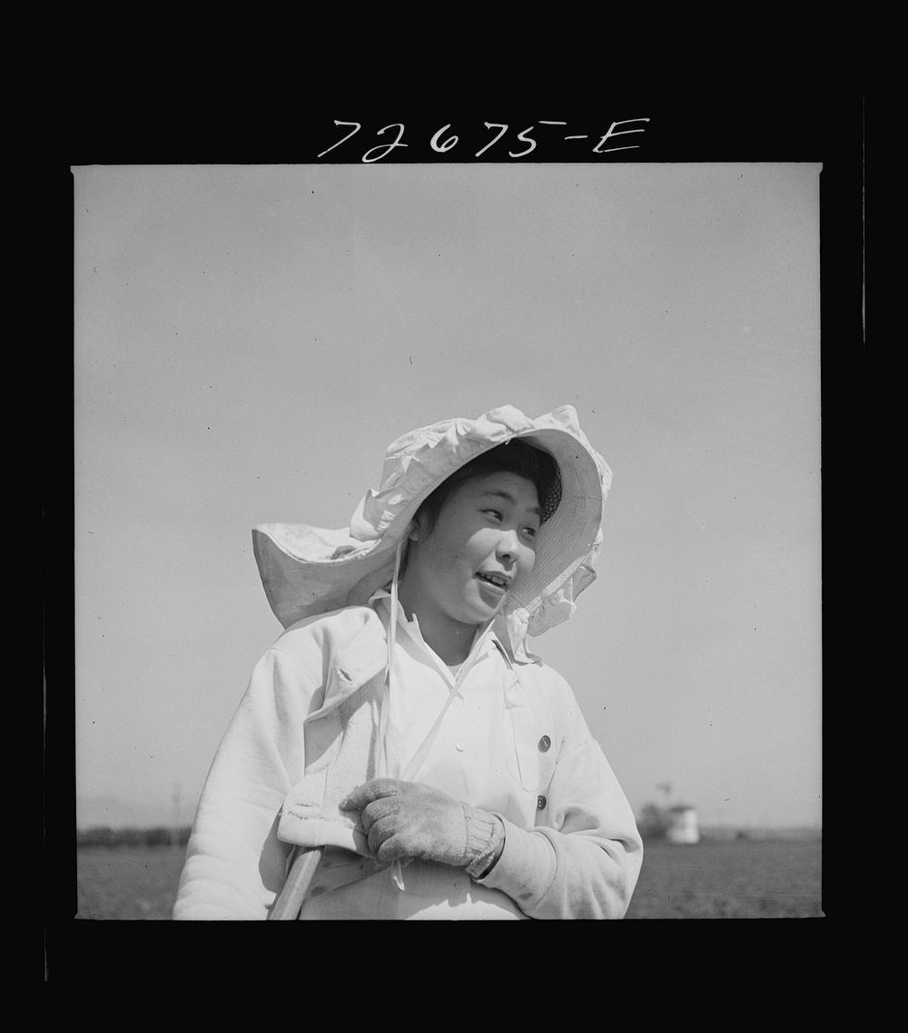 San Benito County, California. Japanese-American who is working in field while awaiting final evacuation orders by Russell…