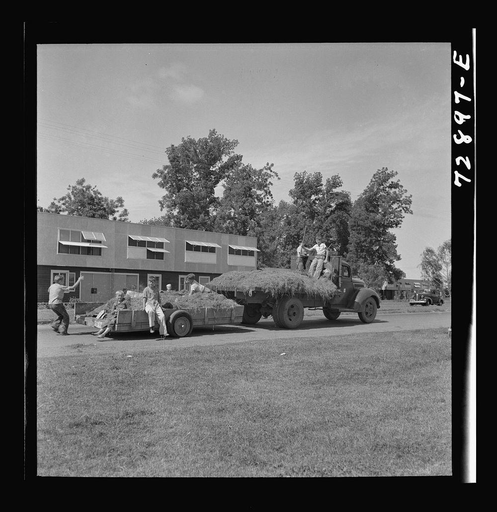 Yuba City, California. FSA (Farm Security Administration) farm family camp. Boys bringing in load of hay by Russell Lee