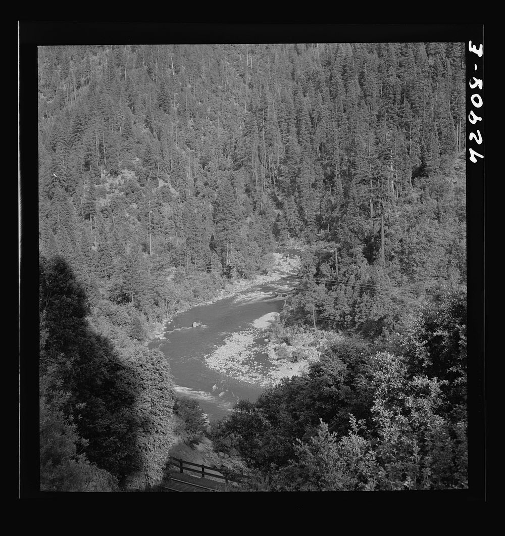 [Untitled photo, possibly related to: Shasta County, California. Mountain stream] by Russell Lee