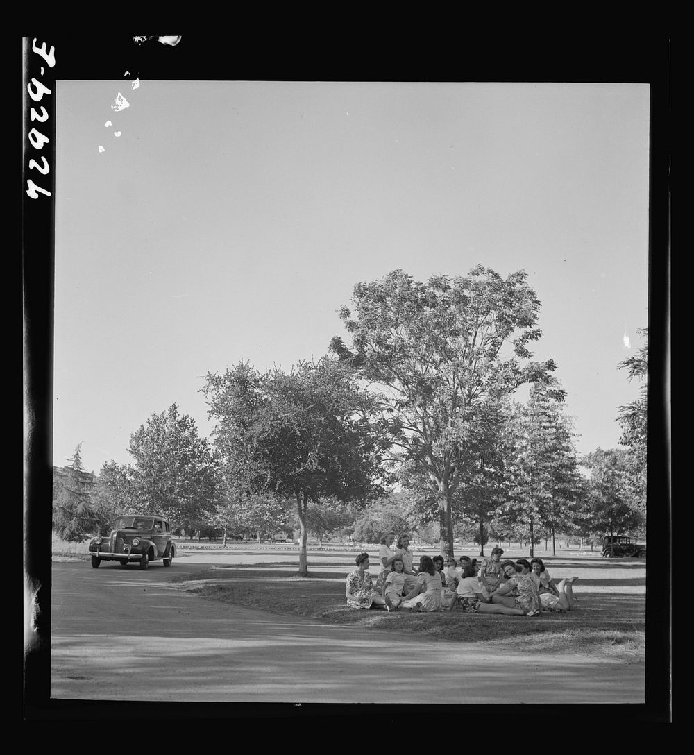 [Untitled photo, possibly related to: Redding, California. Girls picnicking at municipal park and beach on Sacramento River]…