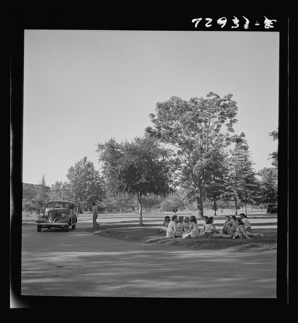 [Untitled photo, possibly related to: Redding, California. Girls picnicking at municipal park and beach on Sacramento River]…