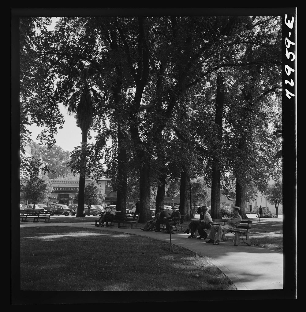 [Untitled photo, possibly related to: Chico, California. City park] by Russell Lee