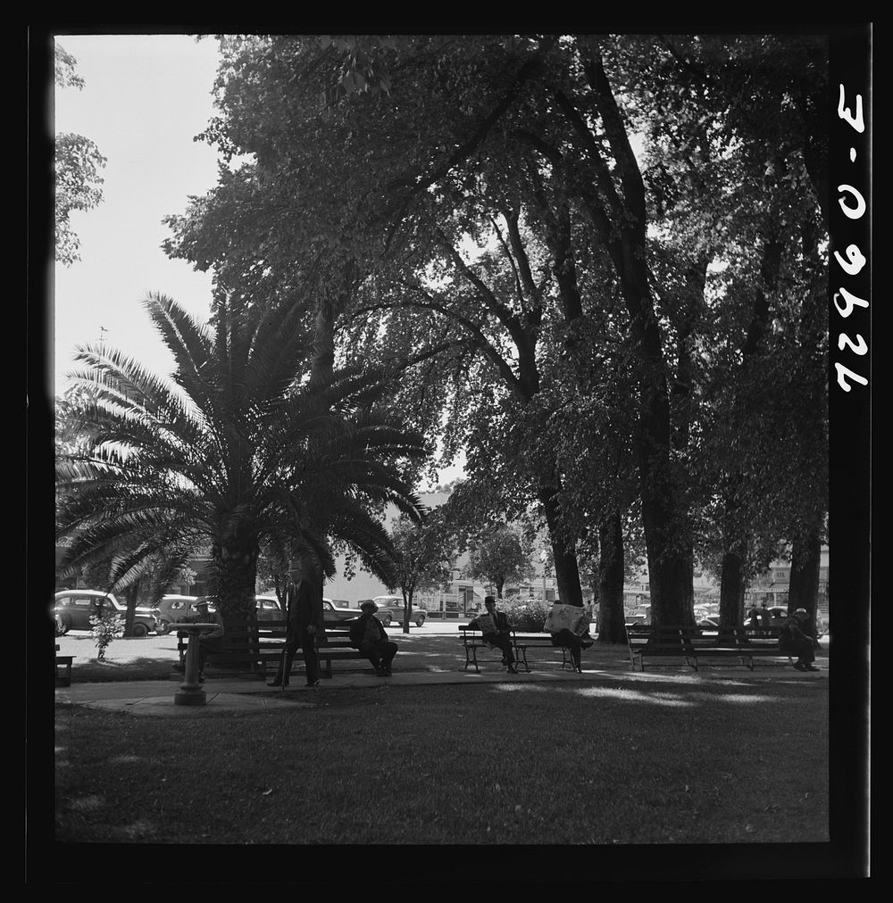 [Untitled photo, possibly related to: Chico, California. City park] by Russell Lee