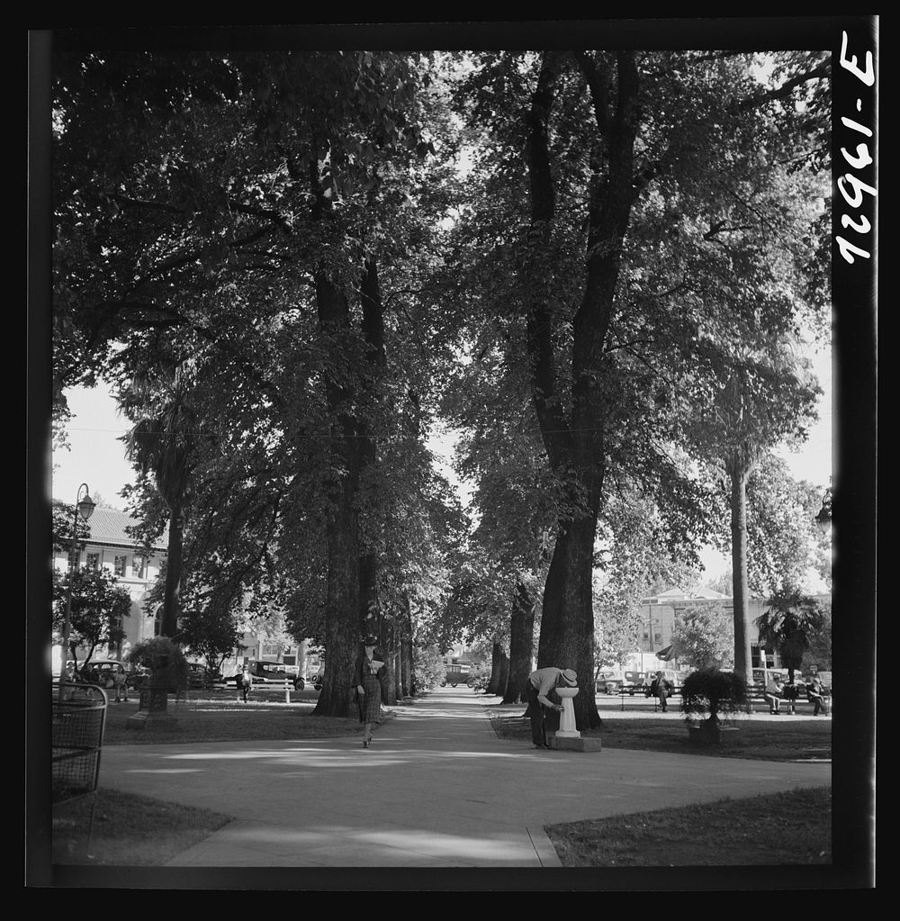 Chico, California. City park by Russell Lee