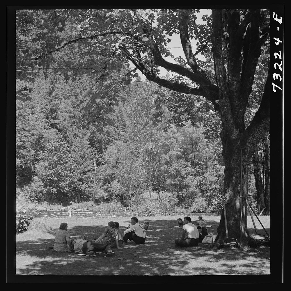 Willamette National Forest, Belknap Springs, Oregon. Picnickers by Russell Lee
