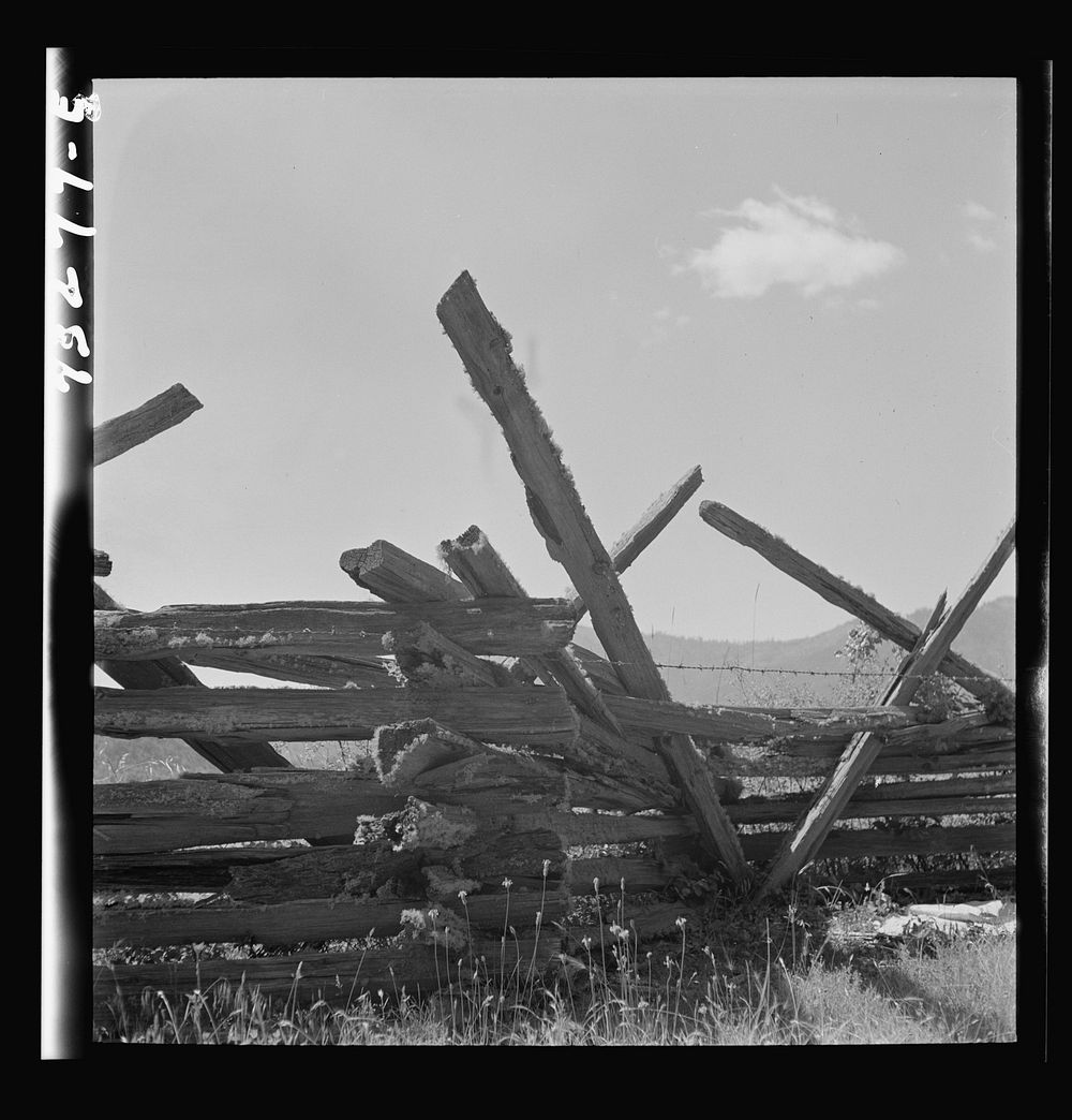 [Untitled photo, possibly related to: Jackson County, Oregon. Detail of moss-covered rail fence] by Russell Lee