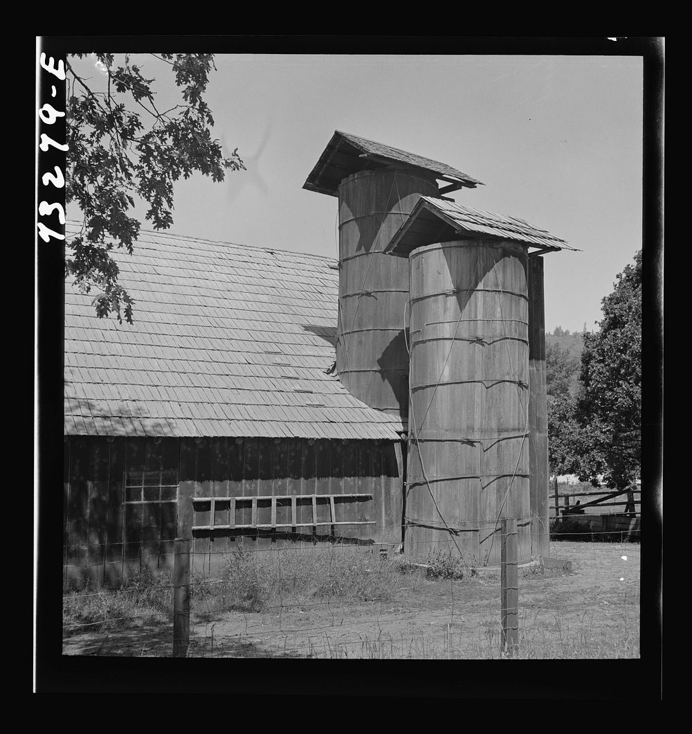 [Untitled photo, possibly related to: Jackson County, Oregon. Barn and silo] by Russell Lee
