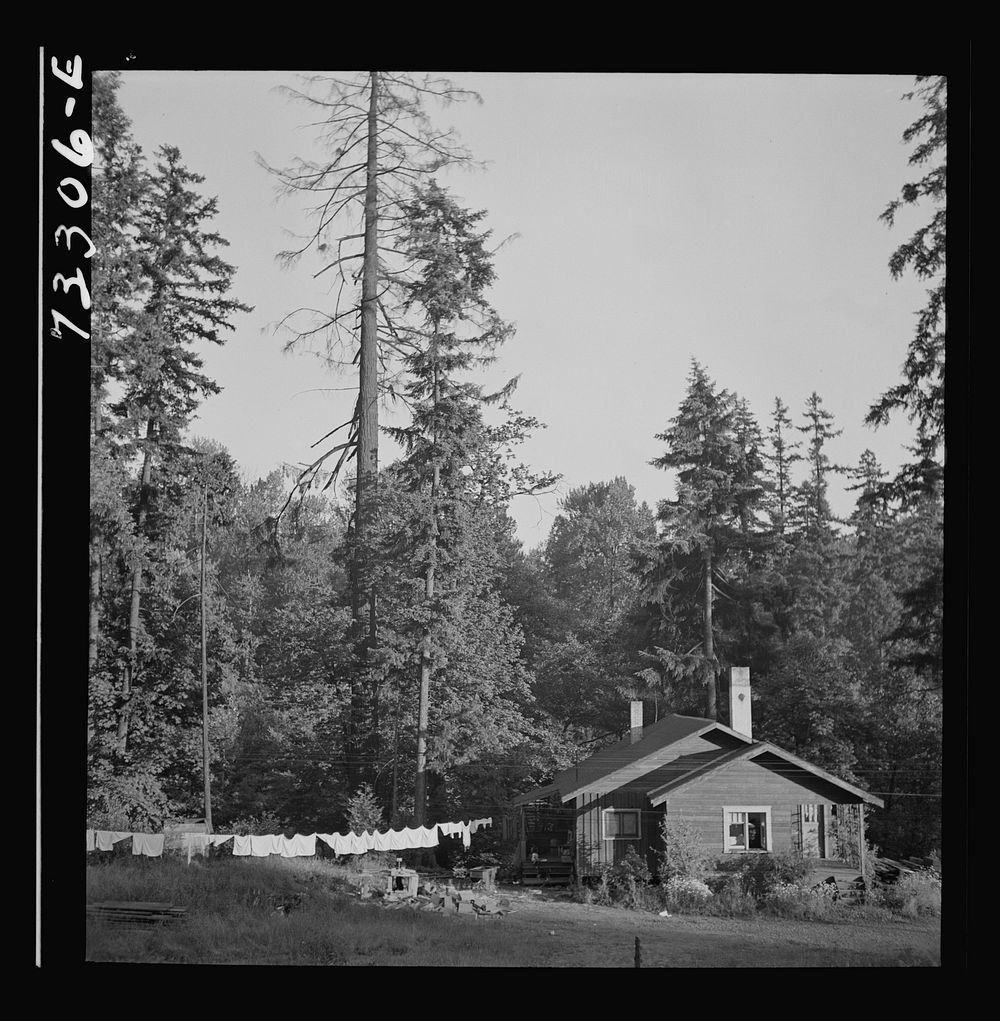 [Untitled photo, possibly related to: Oakridge, Oregon] by Russell Lee