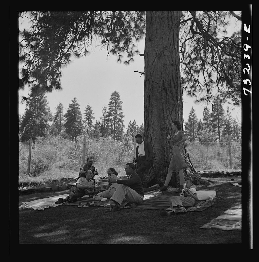 Klamath Falls, Oregon. Picnickers at city park by Russell Lee