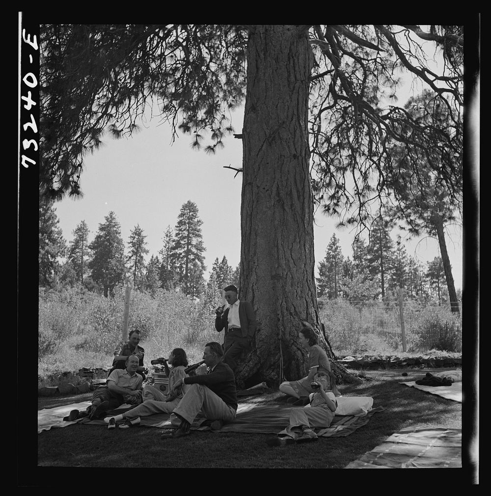 [Untitled photo, possibly related to: Klamath Falls, Oregon. Picnickers at city park] by Russell Lee