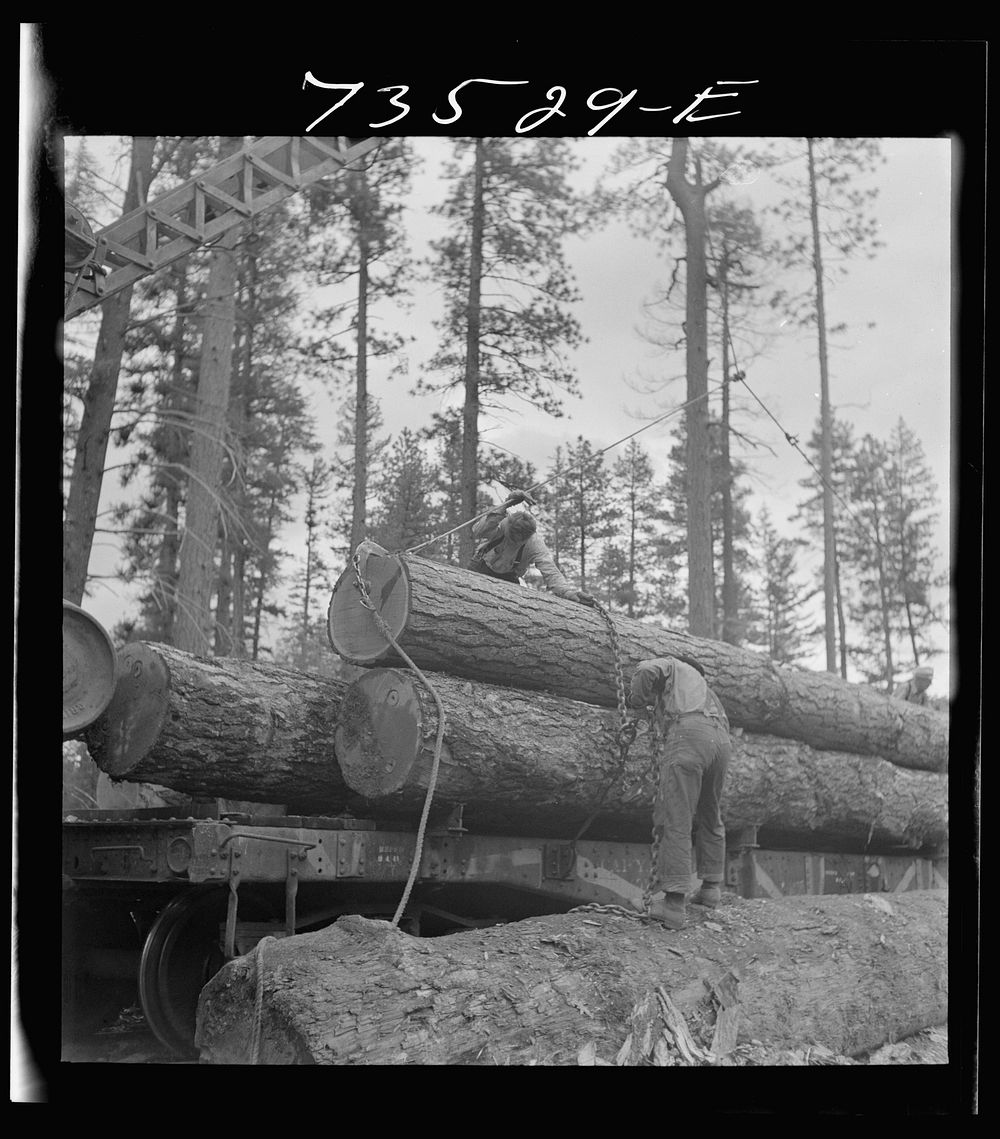 Grant County, Oregon. Malheur National Forest. Loading logs on flatcar by Russell Lee