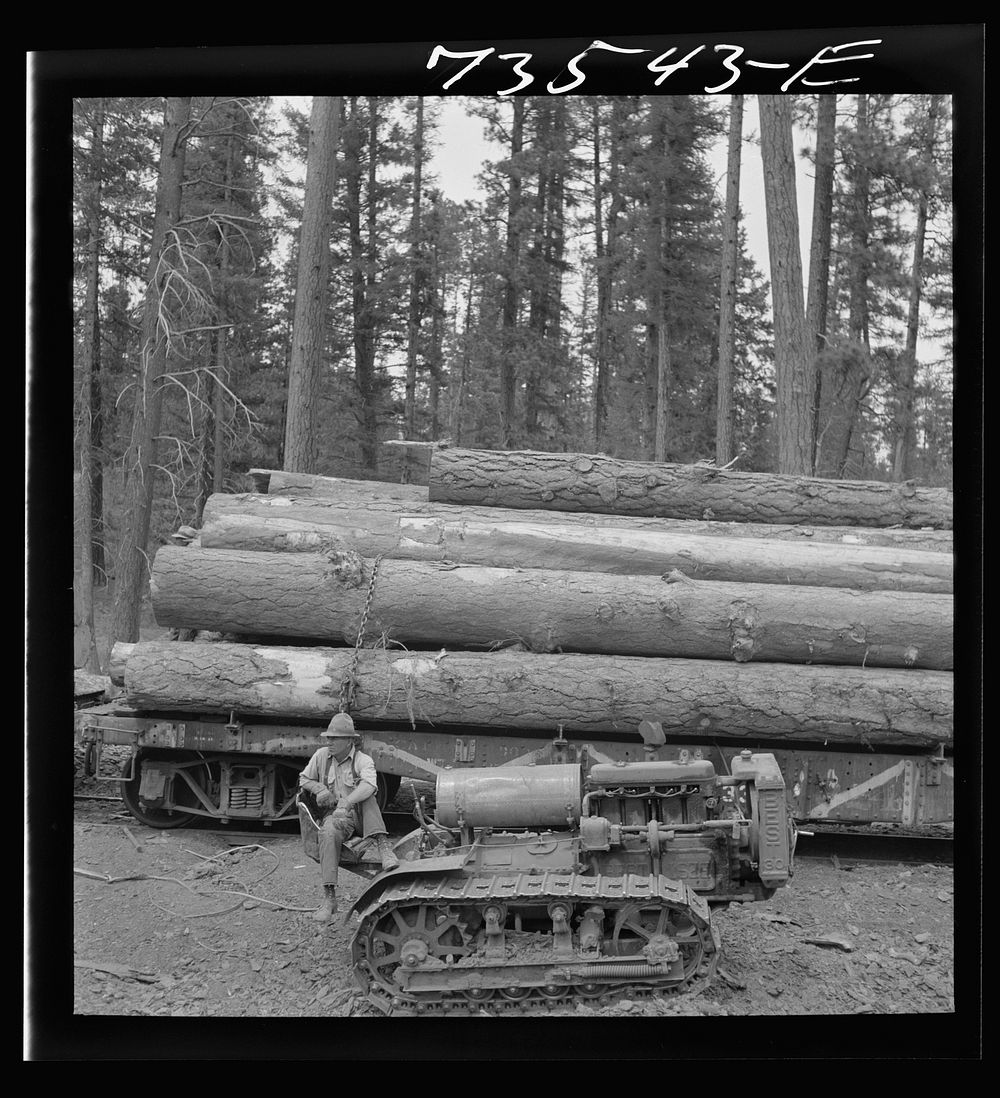 [Untitled photo, possibly related to: Grant County, Oregon. Malheur National Forest. Caterpillar tractor and logs] by…