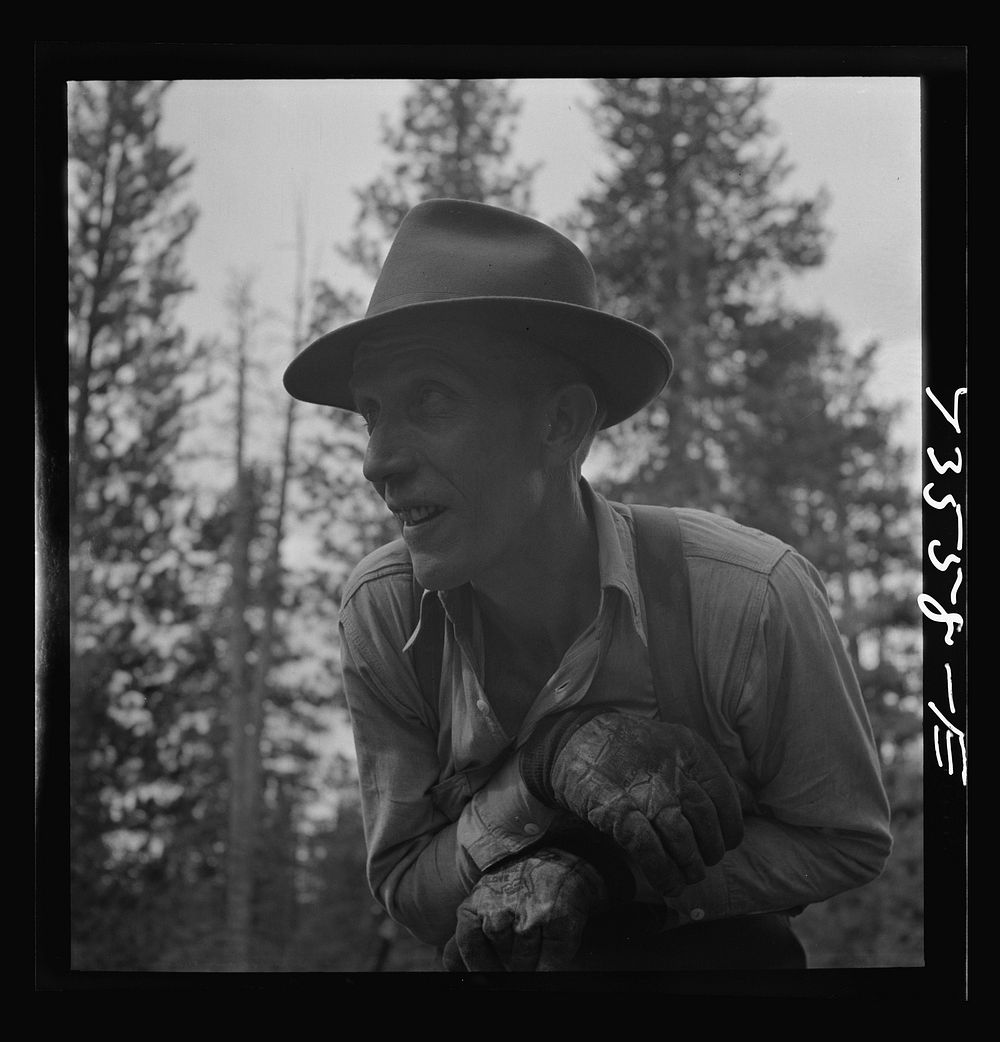 [Untitled photo, possibly related to: Grant County, Oregon. Malheur National Forest. Lumberjack starting the undercut] by…