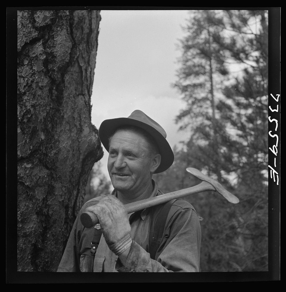 Grant County, Oregon. Malheur National Forest. Lumberjack by Russell Lee