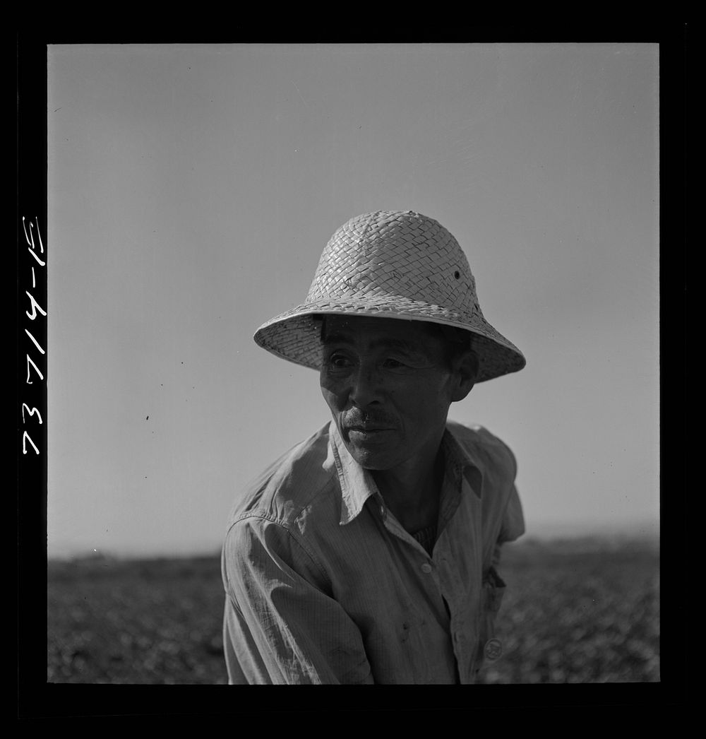 Nyssa, Oregon. FSA (Farm Security Administration) mobile camp. Japanese-American farm worker by Russell Lee