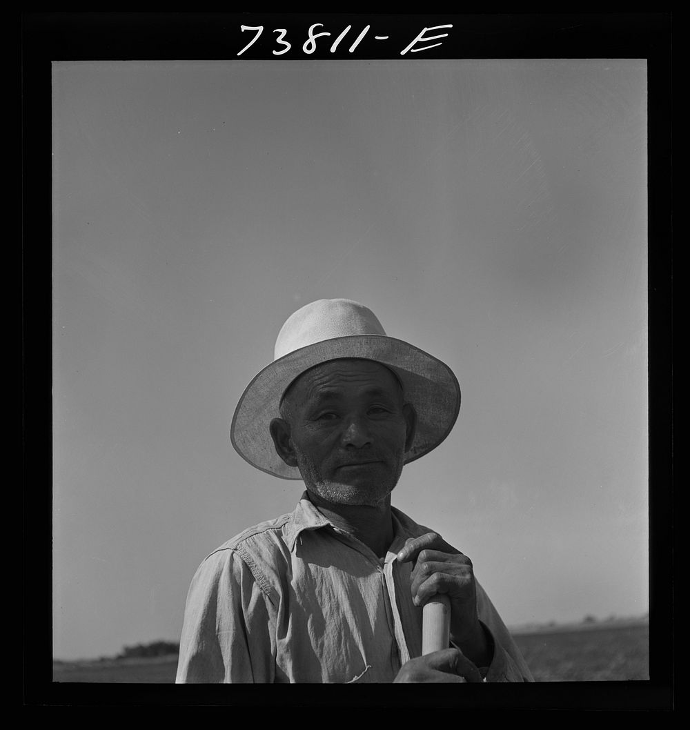 Twin Falls County, Idaho. FSA (Farm Security Administration) workers' camp. Japanese farm worker by Russell Lee