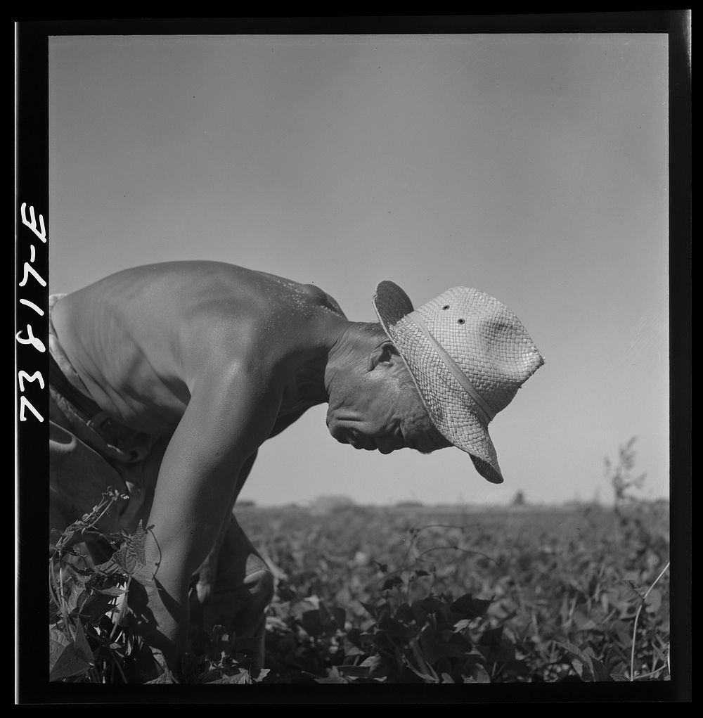 [Untitled photo, possibly related to: Twin Falls County, Idaho. FSA (Farm Security Administration) workers' camp. Japanese…