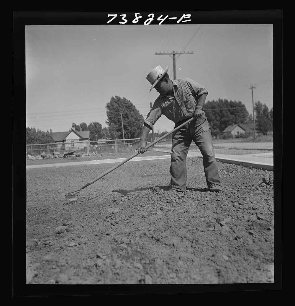 Shelley, Idaho. Japanese farm worker who lives at the FSA (Farm Security Administration) mobile camp working on a lawn in…