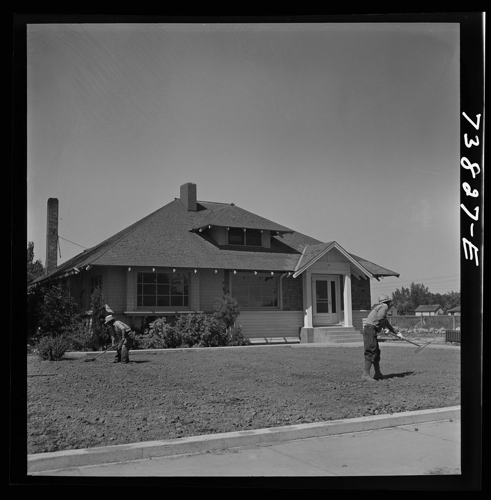 Shelley, Idaho. Japanese farm worker who lives at the FSA (Farm Security Administration) mobile camp working on a lawn in…