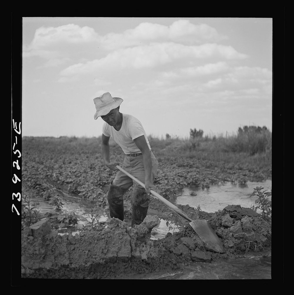 Rupert, Idaho. Former CCC (Civilian Free Photo rawpixel