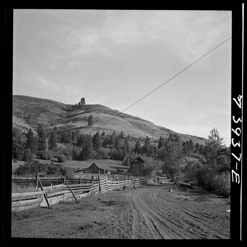 Ola, Idaho. A road which runs by the farm of a member of the Ola self-help cooperative by Russell Lee