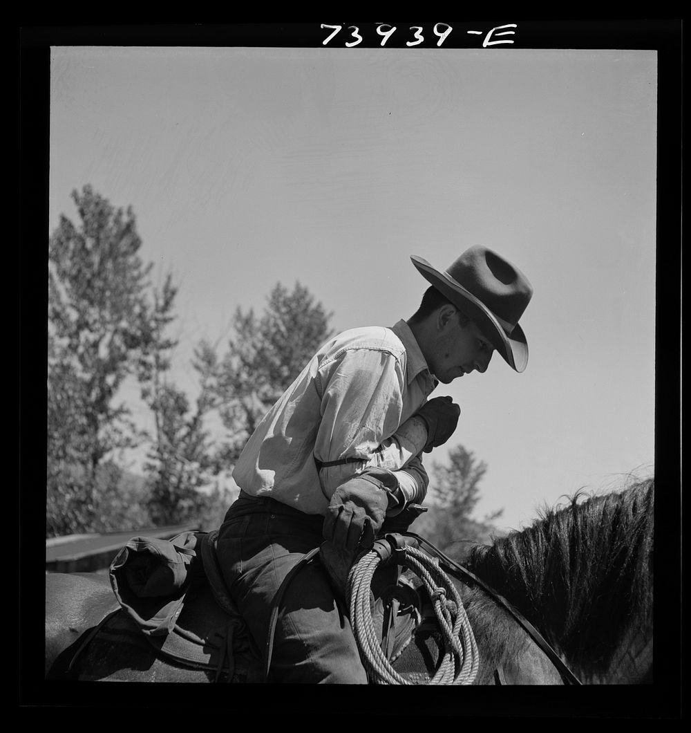 [Untitled photo, possibly related to: Ola, Idaho. Cowboy who cares for beef cattle of members of the Ola self-help…