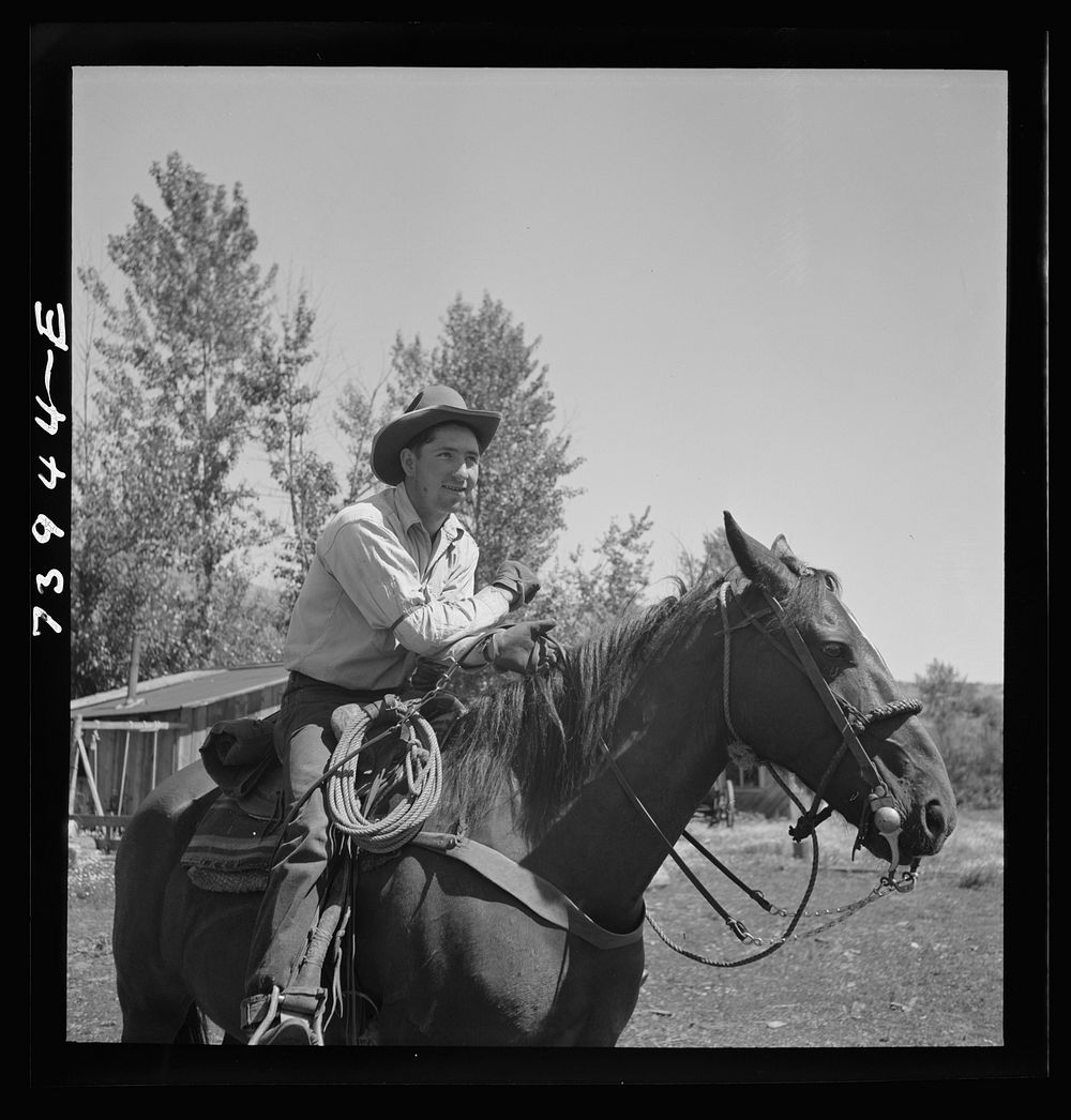 Ola, Idaho. Cowboy who cares for beef cattle of members of the Ola self-help cooperative by Russell Lee