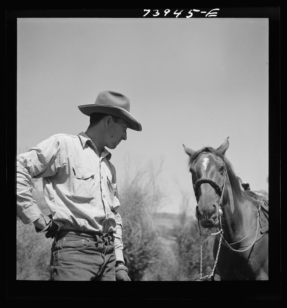 [Untitled photo, possibly related to: Ola, Idaho. Cowboy who cares for beef cattle of members of the Ola self-help…
