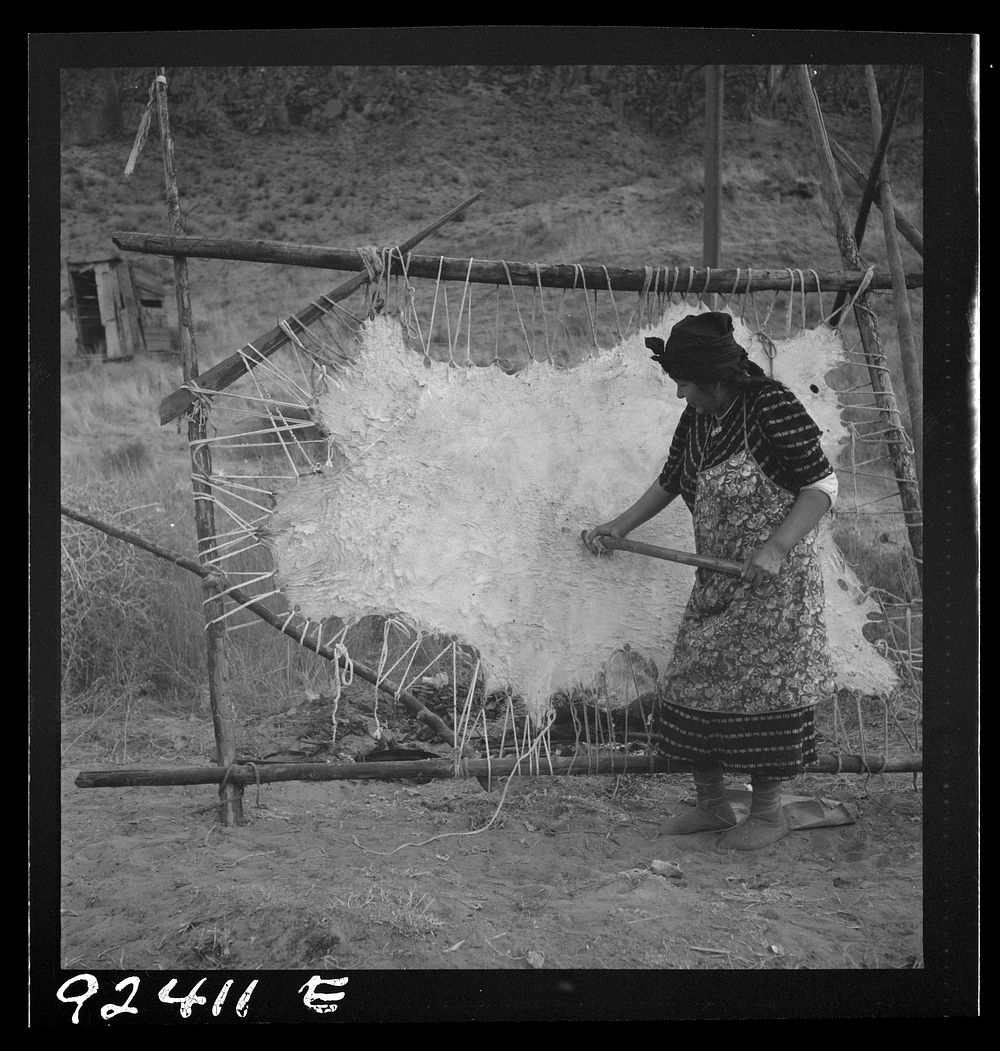 [Untitled photo, possibly related to: Method of scraping hide for softening. Indian fishing village. Oregon]. Sourced from…
