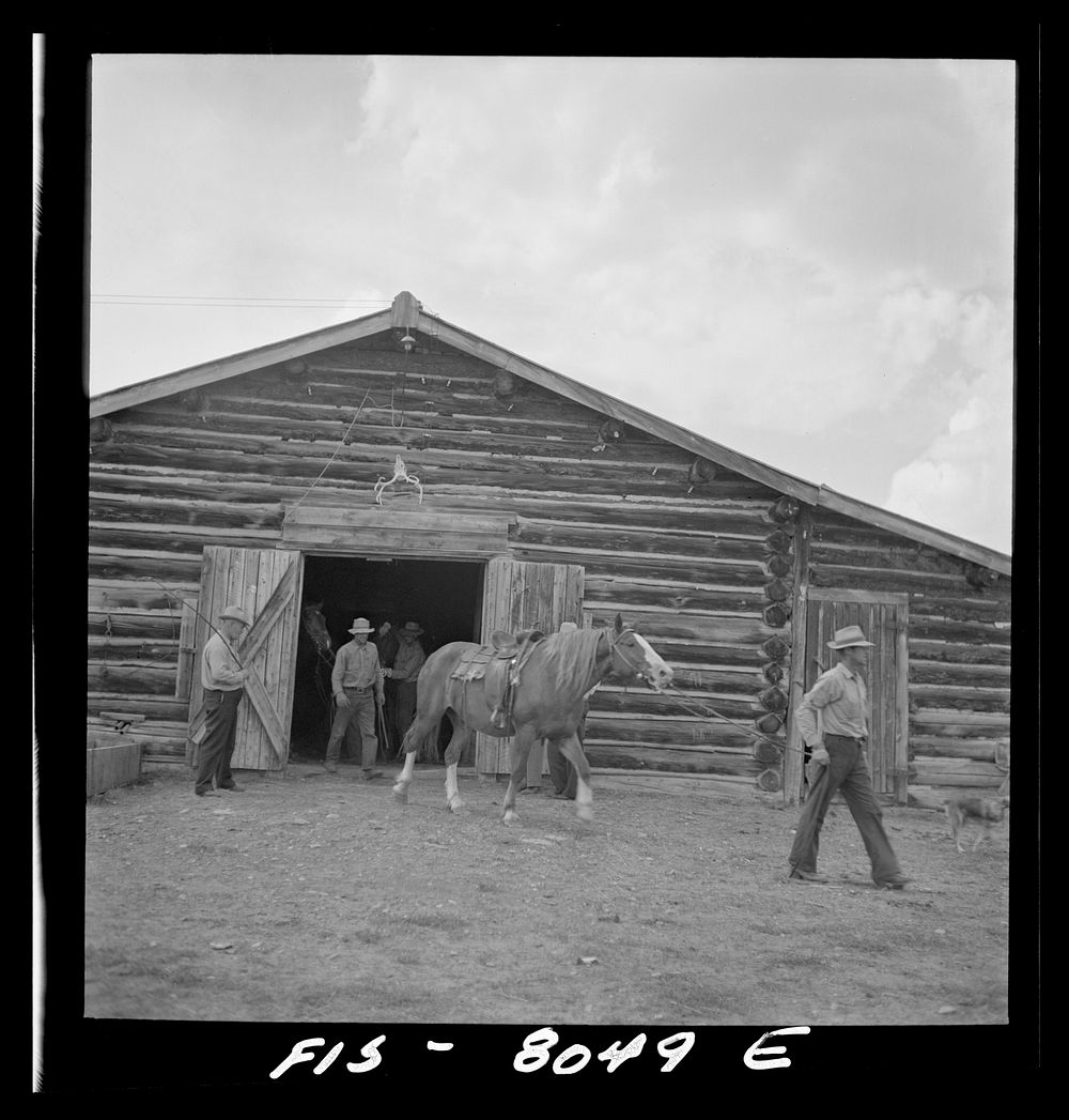 [Untitled photo, possibly related to: Big Hole Valley, Beaverhead County, Montana. On a cattle ranch] by Russell Lee