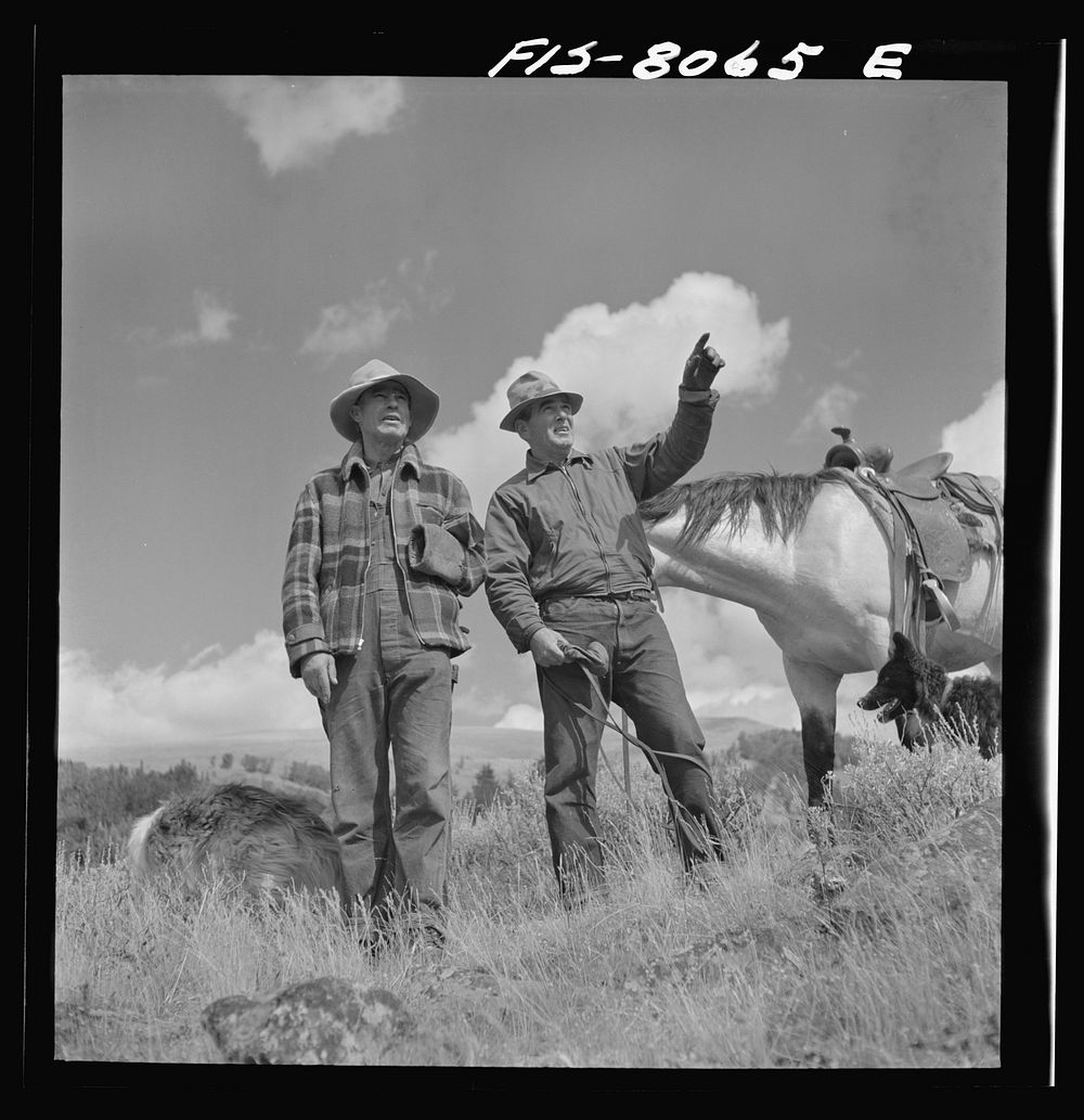Gravelly Range, Madison County, Montana. Sheep-men. This range is particularly suited to sheep-grazing by Russell Lee