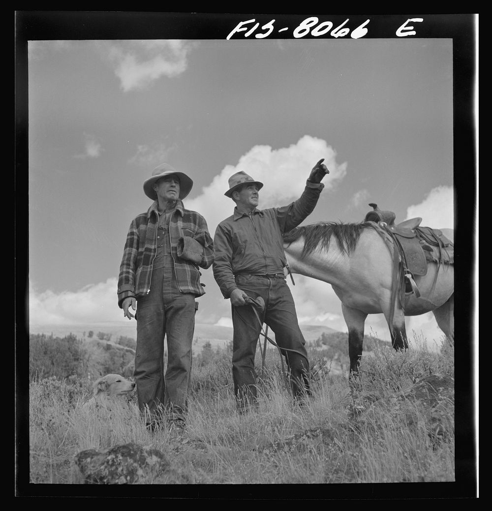 [Untitled photo, possibly related to: Gravelly Range, Madison County, Montana. Sheep-men. This range is particularly suited…