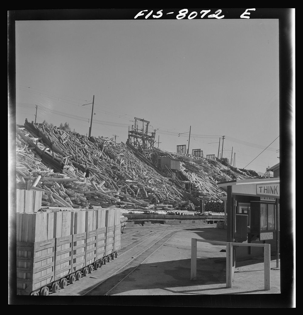 [Untitled photo, possibly related to: Butte, Montana. Anaconda Copper Mining Company. Yardful of timber to be used in the…