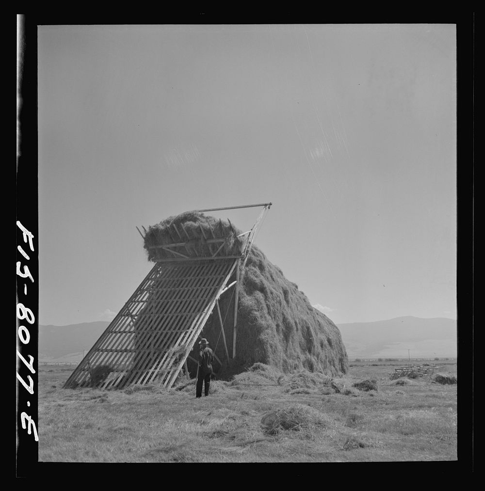 [Untitled photo, possibly related to: Big Hole Valley, Beaverhead County, Montana. Haying] by Russell Lee