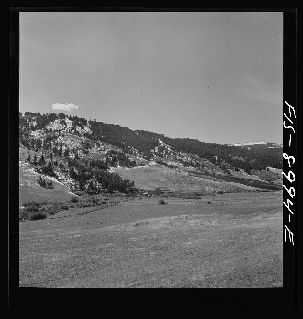 [Untitled photo, possibly related to: Park County, Montana. Cattle ranch] by Russell Lee